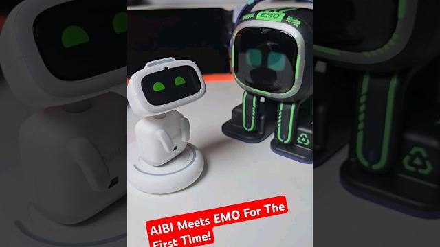 Introducing emo robot to aibi robot #shorts Introducing emo robot to aibi robot #shorts