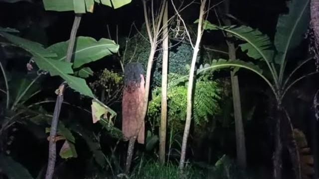 Penampakan terjelas hantu kuntilanak menyeramkan Penampakan terjelas hantu kuntilanak menyeramkan