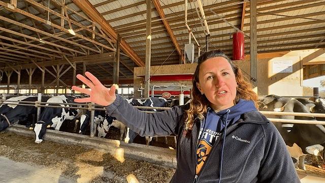 Ordenha com robôs lely: 2,8 ordenhas/dia, 6.300 litros diários e 220 vacas - fazenda k&k Ordenha com robôs lely: 2,8 ordenhas/dia, 6.300 litros diários e 220 vacas - fazenda k&k