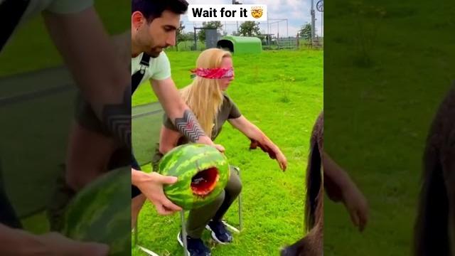 Hilarious: girlfriend hates our iconic watermelon prank 🫣 #shorts Hilarious: girlfriend hates our iconic watermelon prank 🫣 #shorts