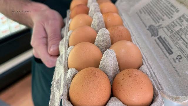 Salmonella outbreak linked to recalled eggs sold in california and other states, cdc says Salmonella outbreak linked to recalled eggs sold in california and other states, cdc says