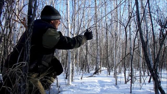 Как насторожить волчью петлю. Как насторожить волчью петлю.
