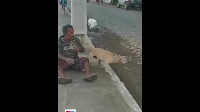 ഒരു അണ്കണ്ടീഷണല് ലൗ..! #unconditionallove #socialmedia #digitaltrends #viral #manoramanews ഒരു അണ്കണ്ടീഷണല് ലൗ..! #unconditionallove #socialmedia #digitaltrends #viral #manoramanews