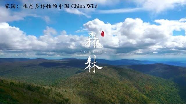 家园 生态多样性的中国 第二集 森林 china wild e02: forests 家园 生态多样性的中国 第二集 森林 china wild e02: forests