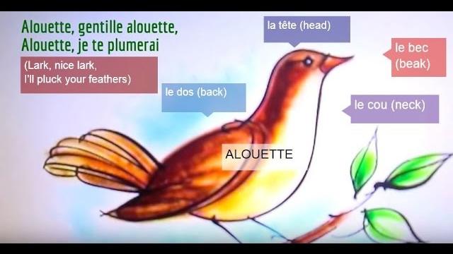 Alouette - french lyrics with english translation Alouette - french lyrics with english translation