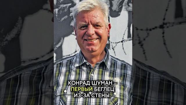 Почему построили берлинскую стену? Почему построили берлинскую стену?