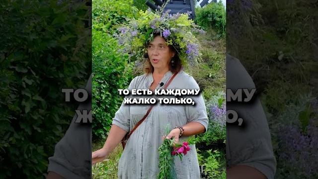 Мк как выбрать травы для сада! Мк как выбрать травы для сада!
