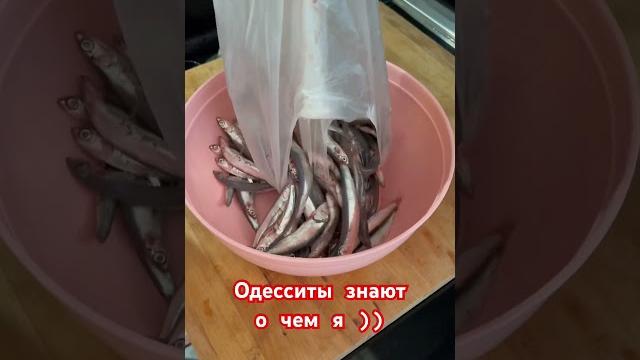 Уверенна, каждый одессит знает что с этим делать )) #тюлька #черноморскаятюлька #одесса #цаца Уверенна, каждый одессит знает что с этим делать )) #тюлька #черноморскаятюлька #одесса #цаца