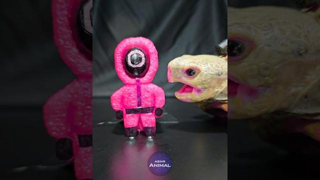 Squid game 3 asmr mukbang eating pink guard turtle tortoise Squid game 3 asmr mukbang eating pink guard turtle tortoise