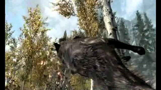 Skyrim физика игры Skyrim физика игры