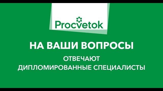 Пурпуровая пятнистость малины. как побороть? Пурпуровая пятнистость малины. как побороть?