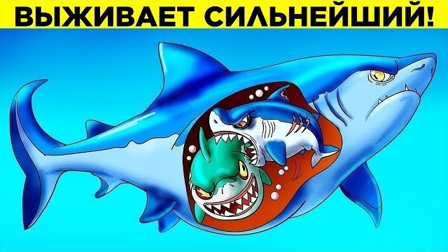 Худшие родители среди животных Худшие родители среди животных