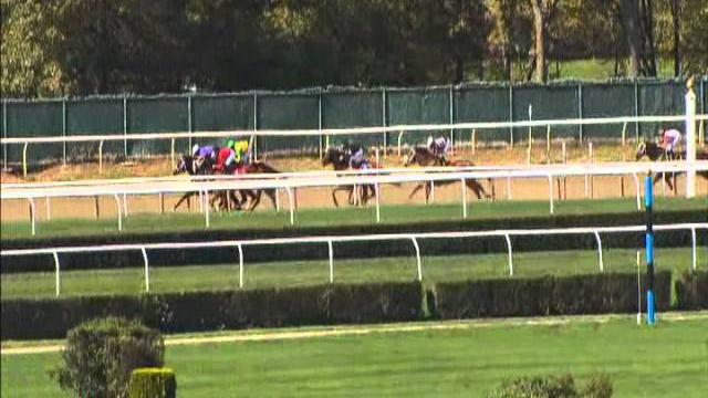 Kate is a ten jumps a shadow - 10.19.14 Kate is a ten jumps a shadow - 10.19.14
