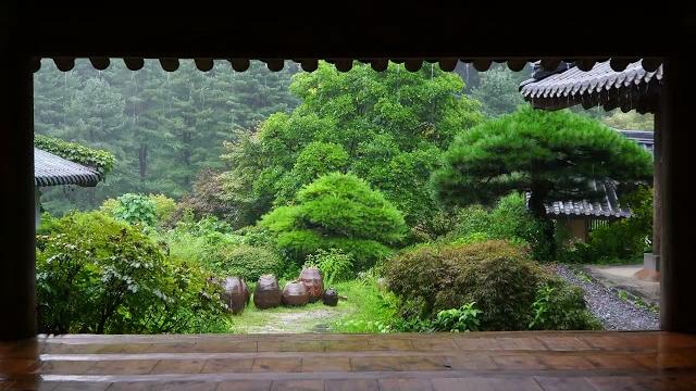 韩屋屋顶的雨滴声、晨静树木园、雨声asmr。 韩屋屋顶的雨滴声、晨静树木园、雨声asmr。