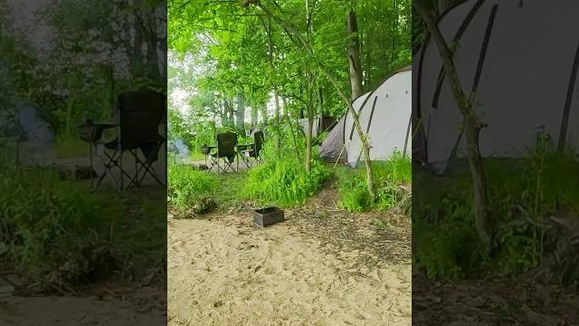 Кемпинг и закат с палаткой outventure twin sky 4 #кемпинг #лес #закат #палатка #звукиприроды #костёр Кемпинг и закат с палаткой outventure twin sky 4 #кемпинг #лес #закат #палатка #звукиприроды #костёр