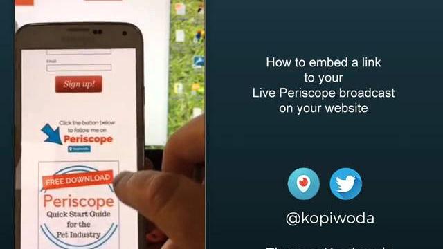 The periscope embed button The periscope embed button