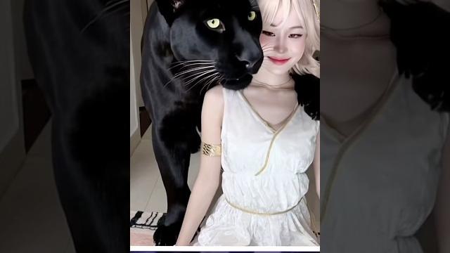 Fake or real ? | chang dory | ometv Fake or real ? | chang dory | ometv