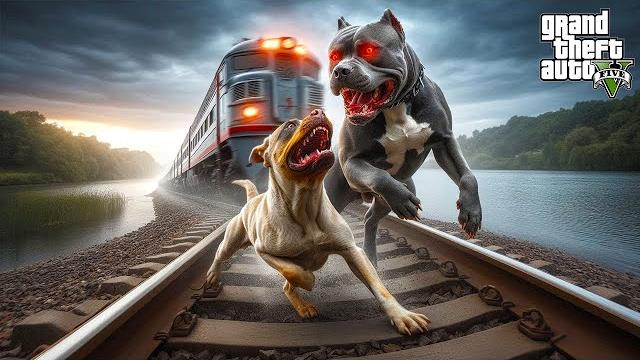 Termi̇natör aşi̇ret babasi maraz'la dövüşüyor!(büyük kavga!) - gta 5 pi̇tbull'un hayati Termi̇natör aşi̇ret babasi maraz'la dövüşüyor!(büyük kavga!) - gta 5 pi̇tbull'un hayati