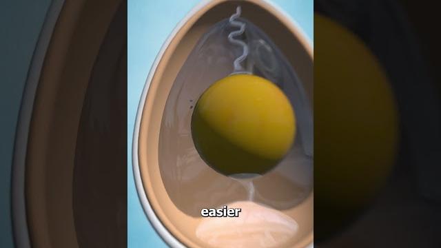 Why american eggs have to be refrigerated Why american eggs have to be refrigerated