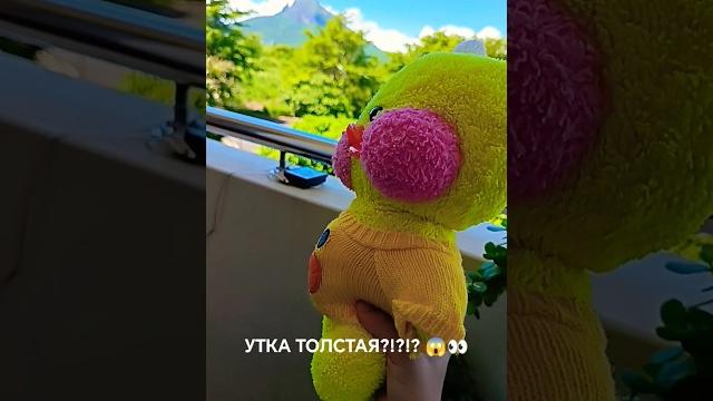 Утка толстая аааа?!?!? #lalafanfan #лалафанфан Утка толстая аааа?!?!? #lalafanfan #лалафанфан