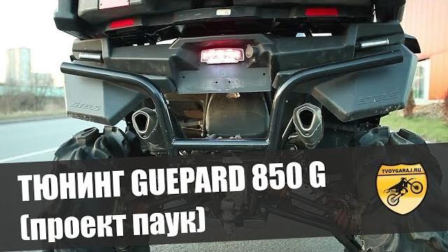 Тюнинг стелс гепард 850g (проект паук) Тюнинг стелс гепард 850g (проект паук)
