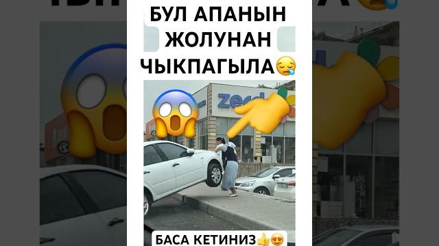 Маанай учун #тикток #моялошадь #юмор #лошадки #тренд #дуэт #прикол #automobile #танцы Маанай учун #тикток #моялошадь #юмор #лошадки #тренд #дуэт #прикол #automobile #танцы