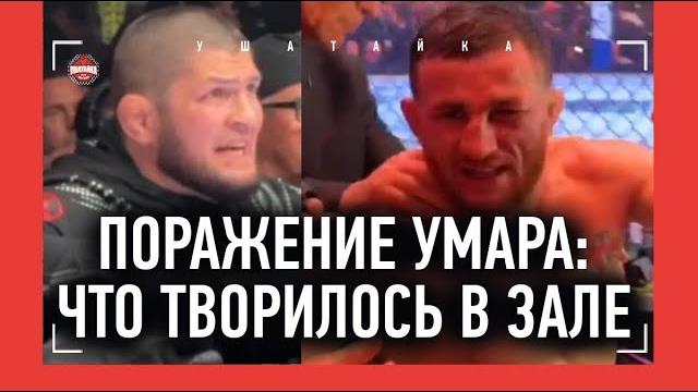 Умар нурмагомедов проиграл... / реакция хабиба, дикие эмоции мераба, тактаров / ufc 311 Умар нурмагомедов проиграл... / реакция хабиба, дикие эмоции мераба, тактаров / ufc 311