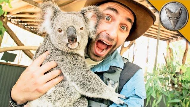 Koala gives stinky hugs! Koala gives stinky hugs!