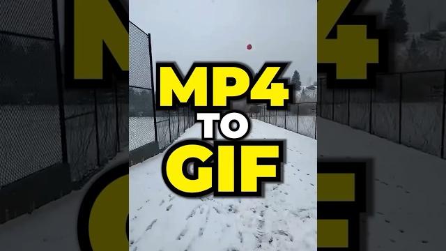 Mp4 to gif | flixier ️ Mp4 to gif | flixier ️