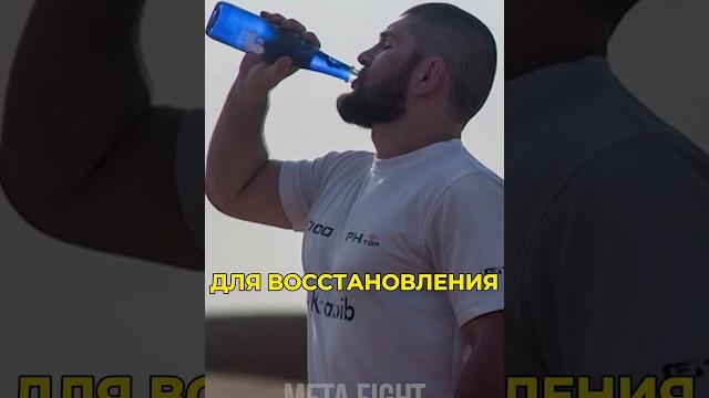 Бизнес-империя хабиба нурмагомедова Бизнес-империя хабиба нурмагомедова
