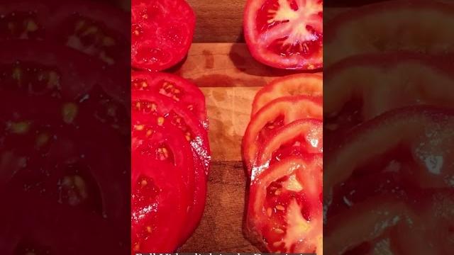 First genetically modified food First genetically modified food