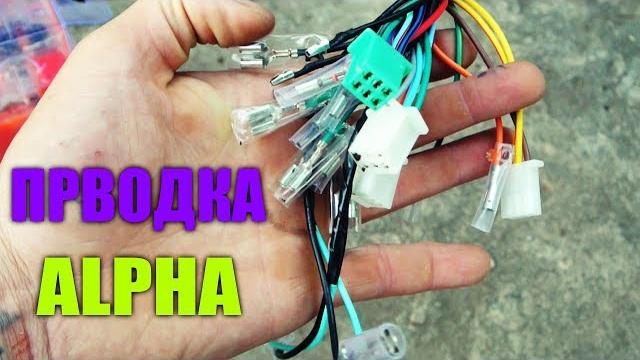 Проводка альфа ! альфа 110 ! проводка мопеда Проводка альфа ! альфа 110 ! проводка мопеда