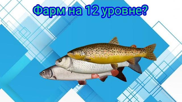 Река белая\ловля на вертушки\рр4\русская рыбалка 4 Река белая\ловля на вертушки\рр4\русская рыбалка 4