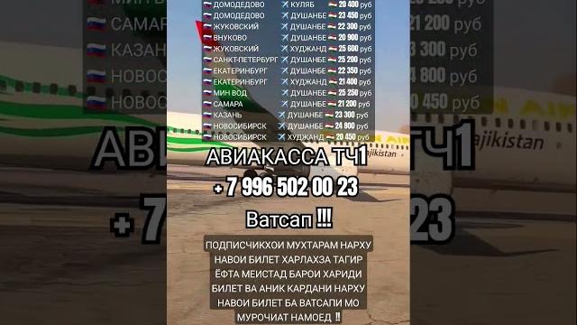 Нархи билет 12 июня #aviakassa_tj1 #авиакасса #душанбе #куляб #бохтар #худжанд #ташкент #самарканд Нархи билет 12 июня #aviakassa_tj1 #авиакасса #душанбе #куляб #бохтар #худжанд #ташкент #самарканд