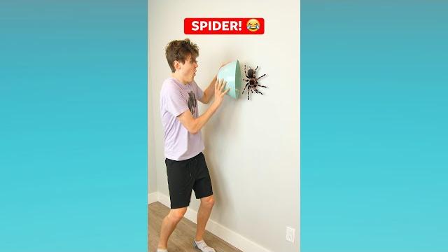 Spider! #shorts Spider! #shorts