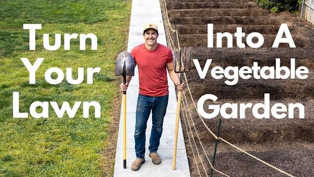 How to turn your lawn into a vegetable garden How to turn your lawn into a vegetable garden