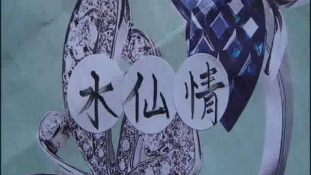 水仙情sx 水仙情sx