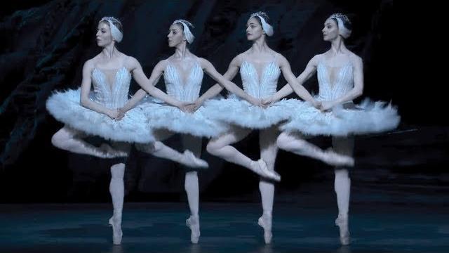 Swan lake – dance of the cygnets (the royal ballet) Swan lake – dance of the cygnets (the royal ballet)