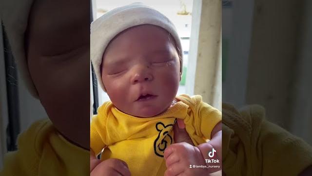 Mailman delivers a baby?! realistic reborn doll mail time Mailman delivers a baby?! realistic reborn doll mail time