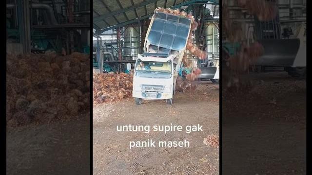 Skill dewa sopir truk sawit Skill dewa sopir truk sawit