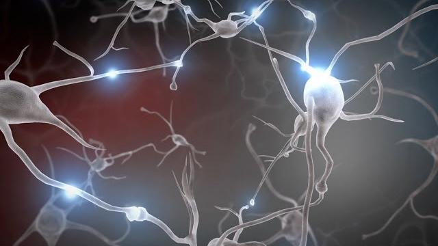 Experiences build brain architecture Experiences build brain architecture