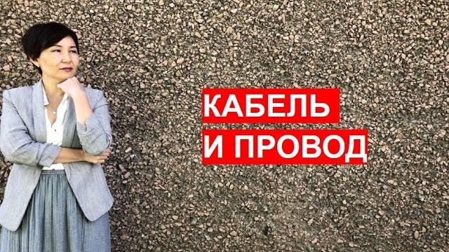 Кабель и провод Кабель и провод