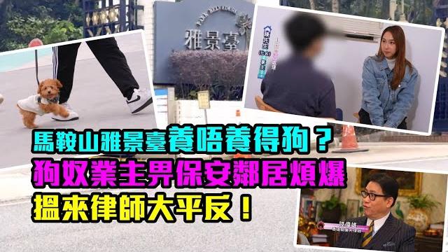 東張西望|馬鞍山雅景臺養唔養得狗? 狗奴業主畀保安鄰居煩爆 搵來律師大平反!|馬鞍山|雅景臺|養狗 東張西望|馬鞍山雅景臺養唔養得狗? 狗奴業主畀保安鄰居煩爆 搵來律師大平反!|馬鞍山|雅景臺|養狗