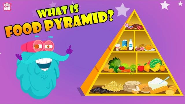 Food pyramid | how different foods affect your body | the dr binocs show | peekaboo kidz Food pyramid | how different foods affect your body | the dr binocs show | peekaboo kidz