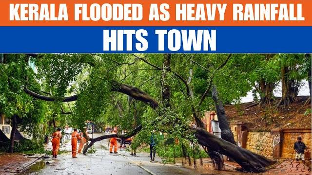 Kerala : kottayam faces heavy rainfall | roads flooded, trees uprooted, heavy traffic in town Kerala : kottayam faces heavy rainfall | roads flooded, trees uprooted, heavy traffic in town