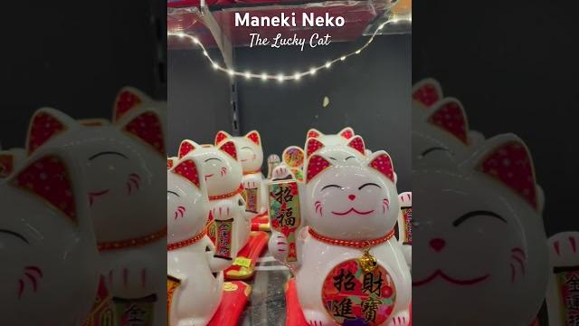 Maneki neko- the lucky cat Maneki neko- the lucky cat