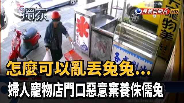 怎麼可以亂丟兔兔... 婦寵物店門口棄養侏儒兔-民視新聞 怎麼可以亂丟兔兔... 婦寵物店門口棄養侏儒兔-民視新聞