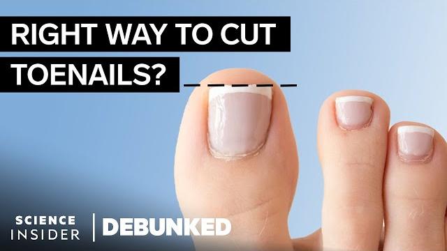Podiatrists debunk 11 feet myths | debunked | science insider Podiatrists debunk 11 feet myths | debunked | science insider