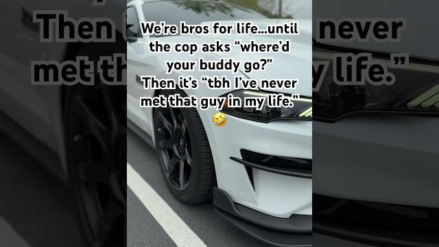 Who?? #mustang #mustanggt #ford #bros #brother #funny #meme #joke #carguy #car #auto #carmeet #fast Who?? #mustang #mustanggt #ford #bros #brother #funny #meme #joke #carguy #car #auto #carmeet #fast
