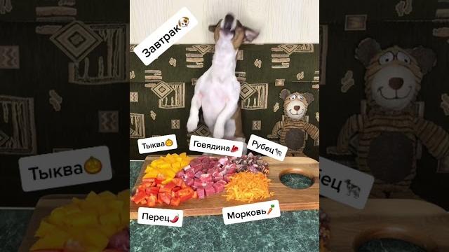 Клип за 10 лямов Клип за 10 лямов